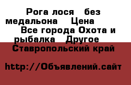 Рога лося , без медальона. › Цена ­ 15 000 - Все города Охота и рыбалка » Другое   . Ставропольский край